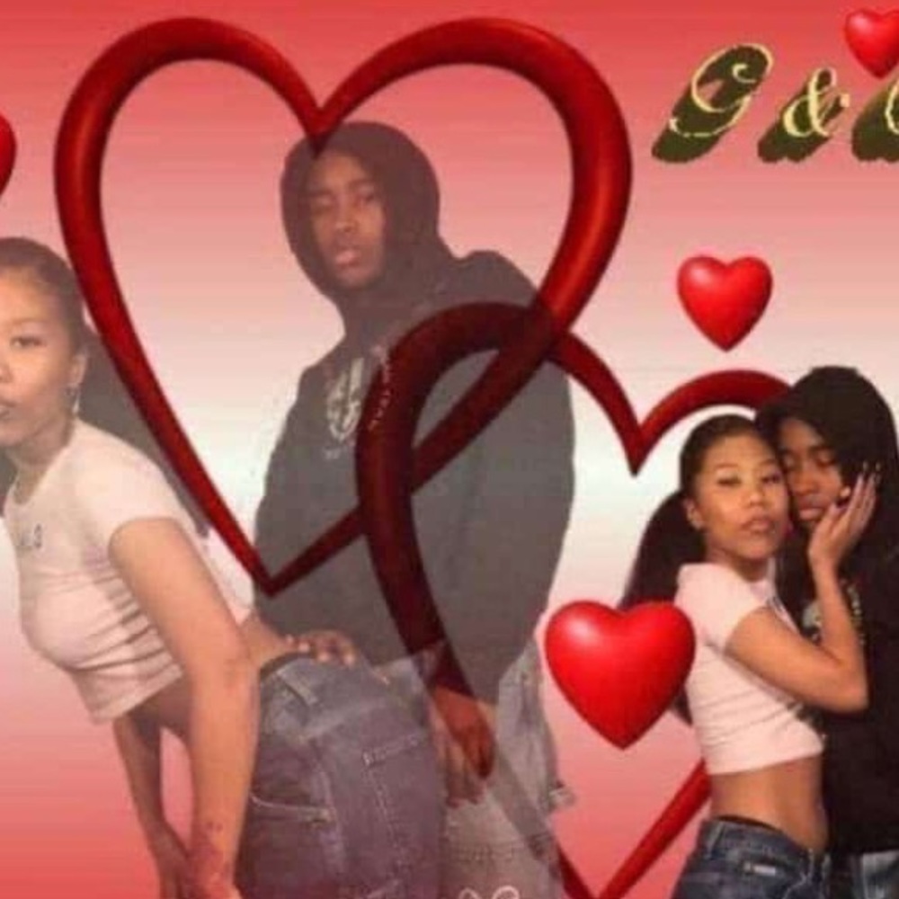 Meet your Posher, Yorkie